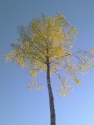 07 1latva--1024-wp_20180512_20_44_43_smart